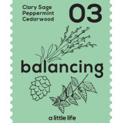 A Little Life Soy Candle 03 Balancing